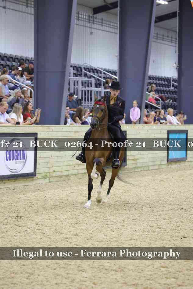 Proof 21_BUCK_02664