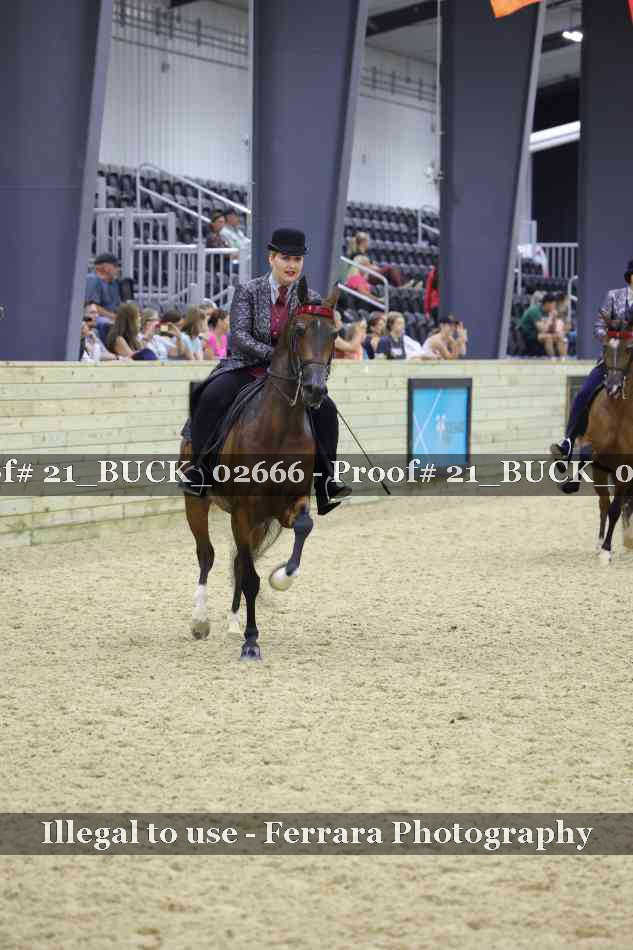 Proof 21_BUCK_02666