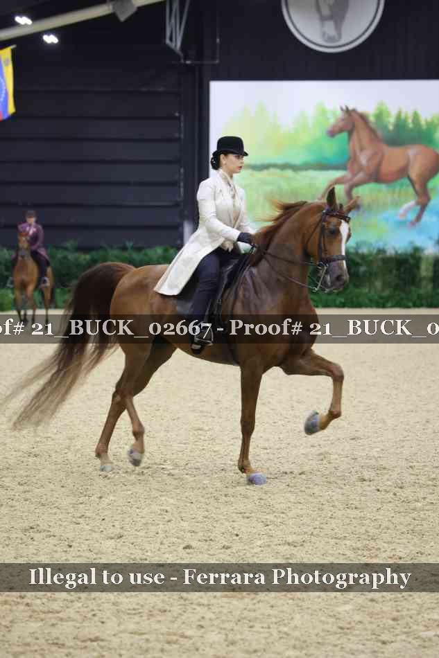 Proof 21_BUCK_02667