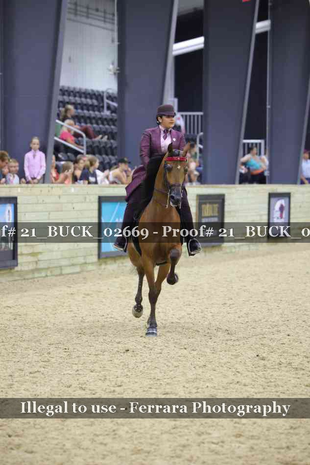 Proof 21_BUCK_02669
