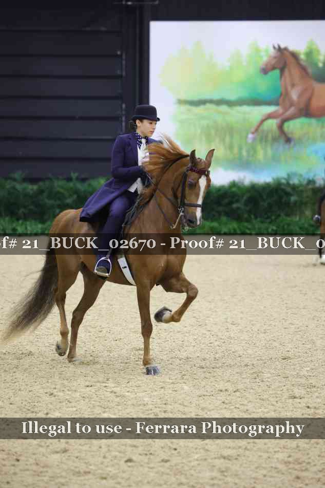 Proof 21_BUCK_02670