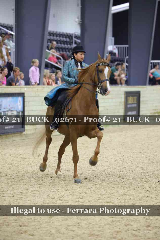 Proof 21_BUCK_02671