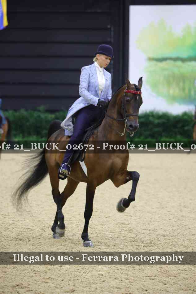 Proof 21_BUCK_02672
