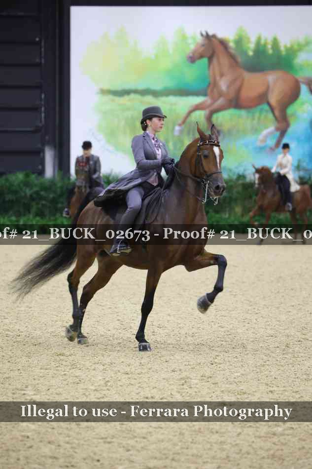 Proof 21_BUCK_02673
