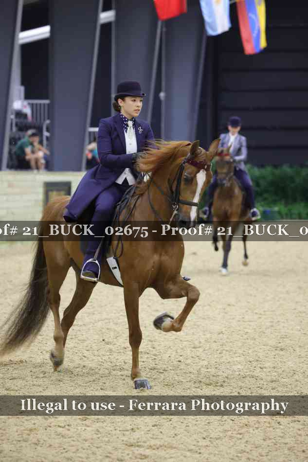 Proof 21_BUCK_02675