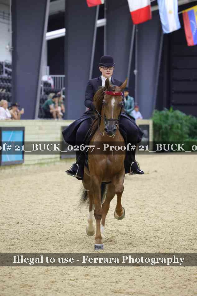 Proof 21_BUCK_02677