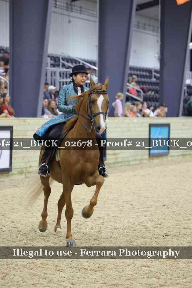 Proof 21_BUCK_02678
