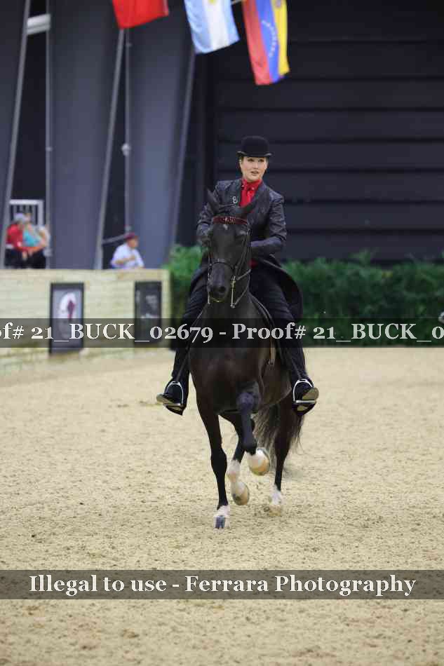 Proof 21_BUCK_02679