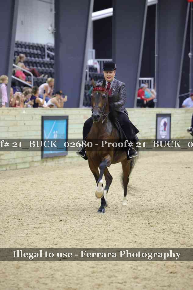 Proof 21_BUCK_02680