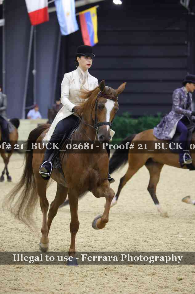Proof 21_BUCK_02681