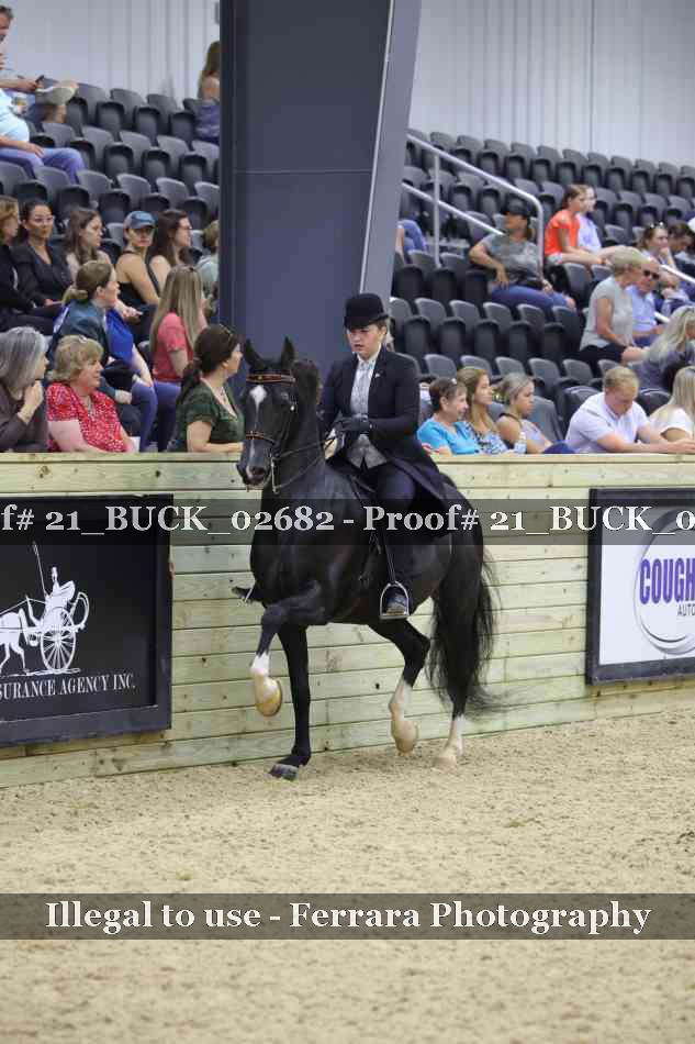 Proof 21_BUCK_02682