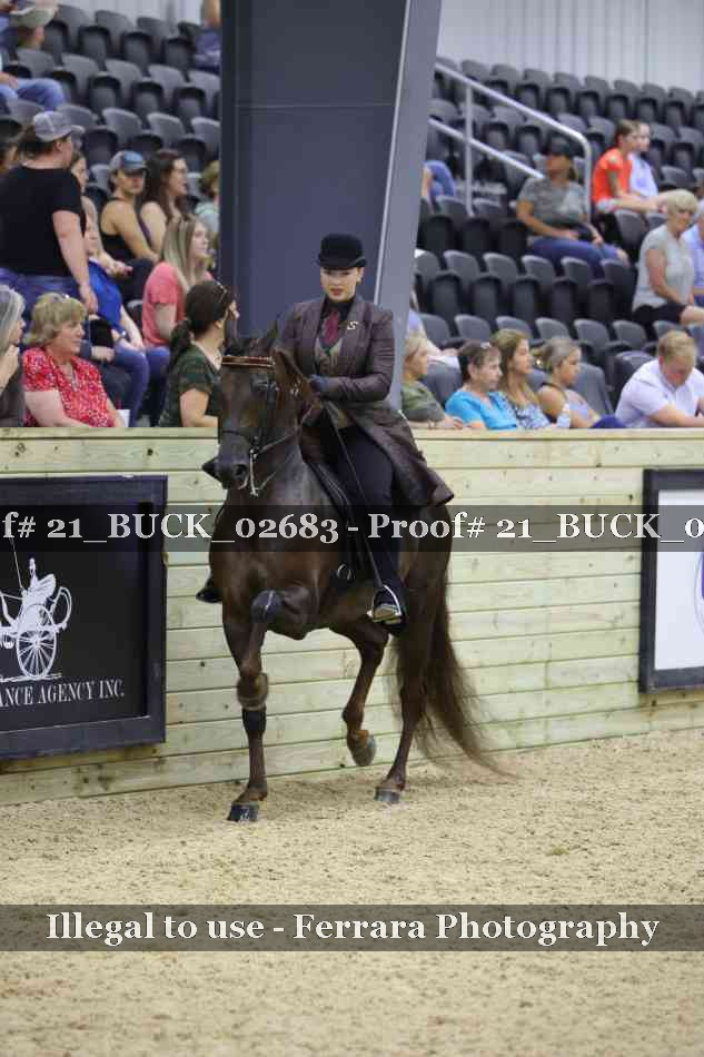 Proof 21_BUCK_02683