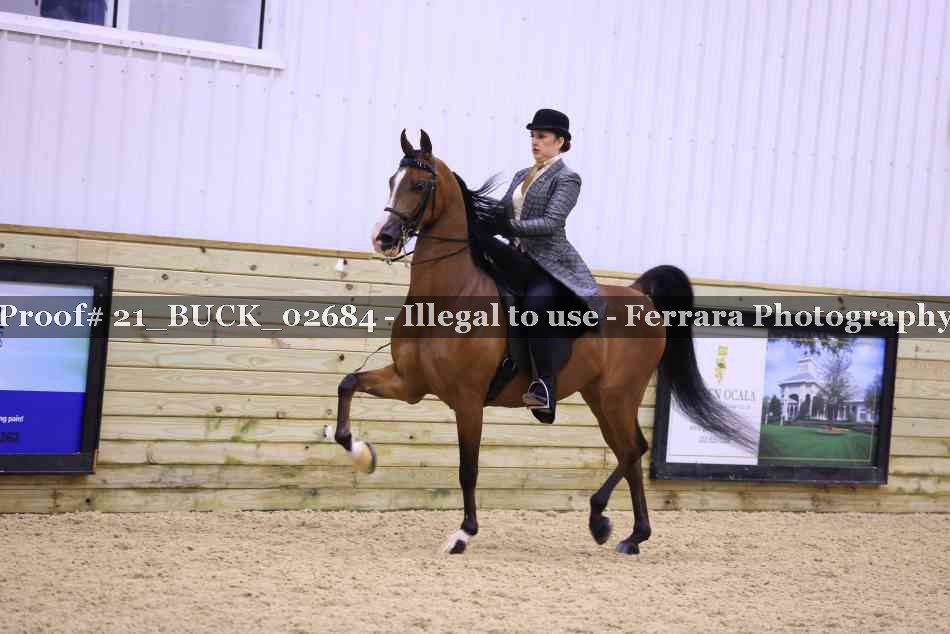 Proof 21_BUCK_02684