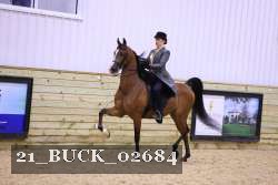 21_BUCK_02684 proof
