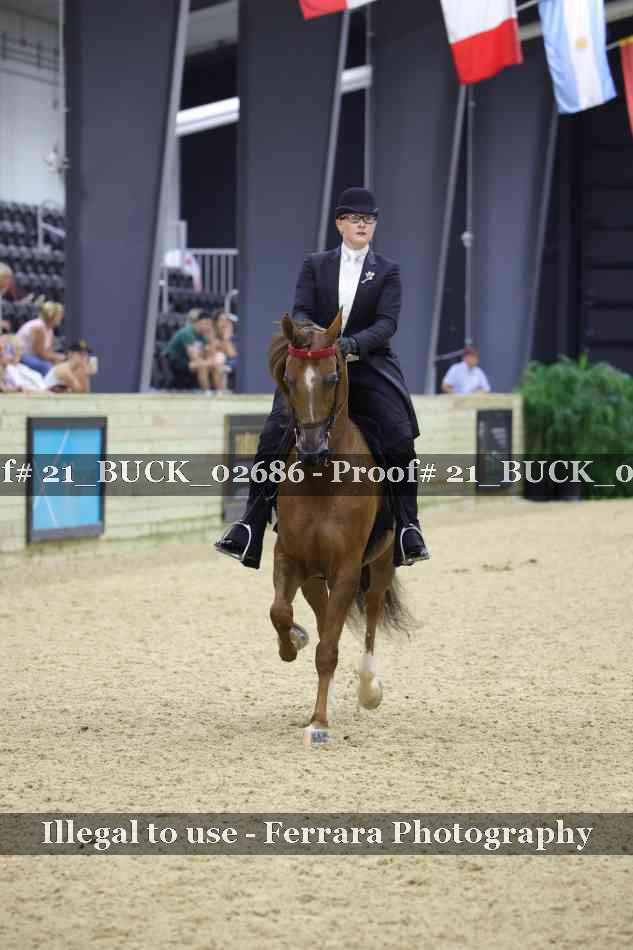 Proof 21_BUCK_02686