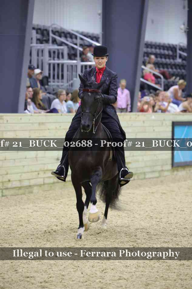 Proof 21_BUCK_02688