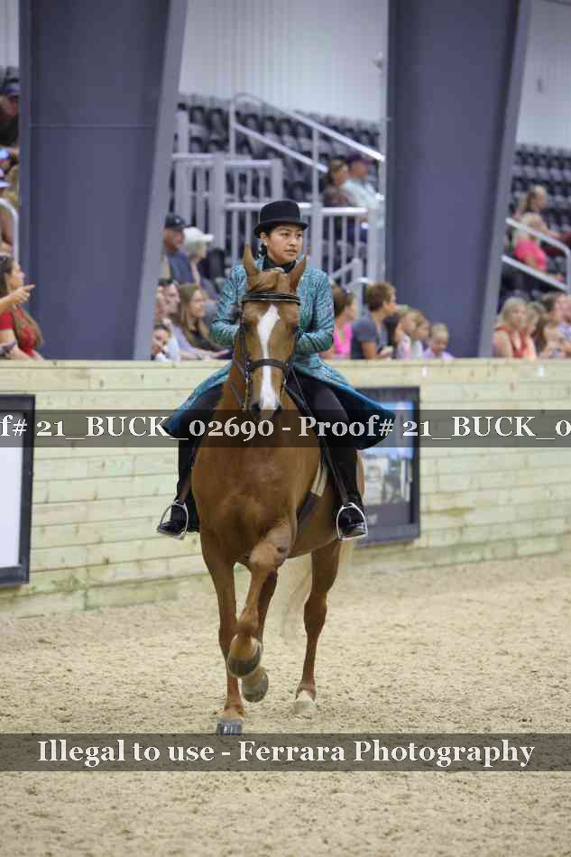 Proof 21_BUCK_02690