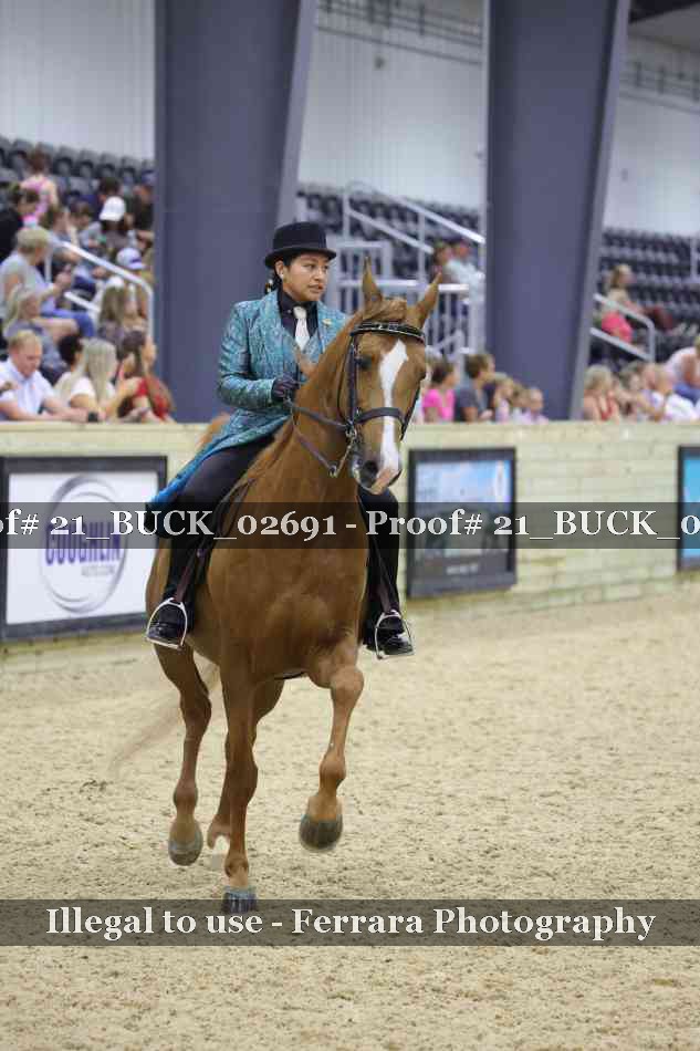 Proof 21_BUCK_02691