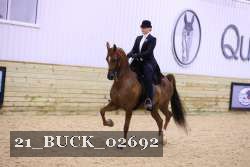 21_BUCK_02692 proof