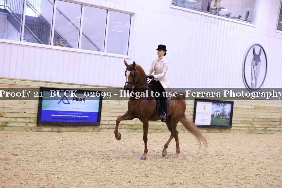 Proof 21_BUCK_02699