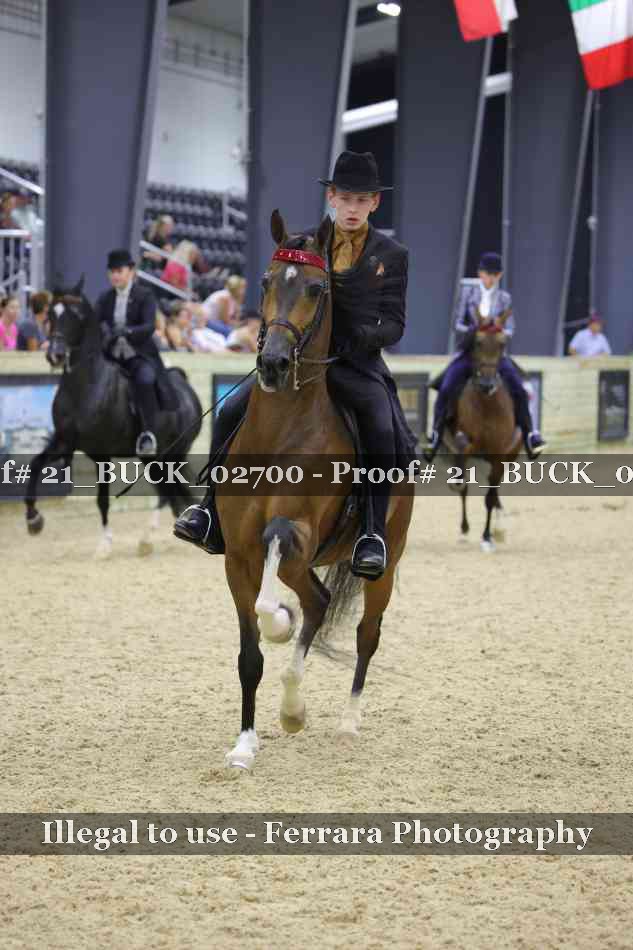 Proof 21_BUCK_02700
