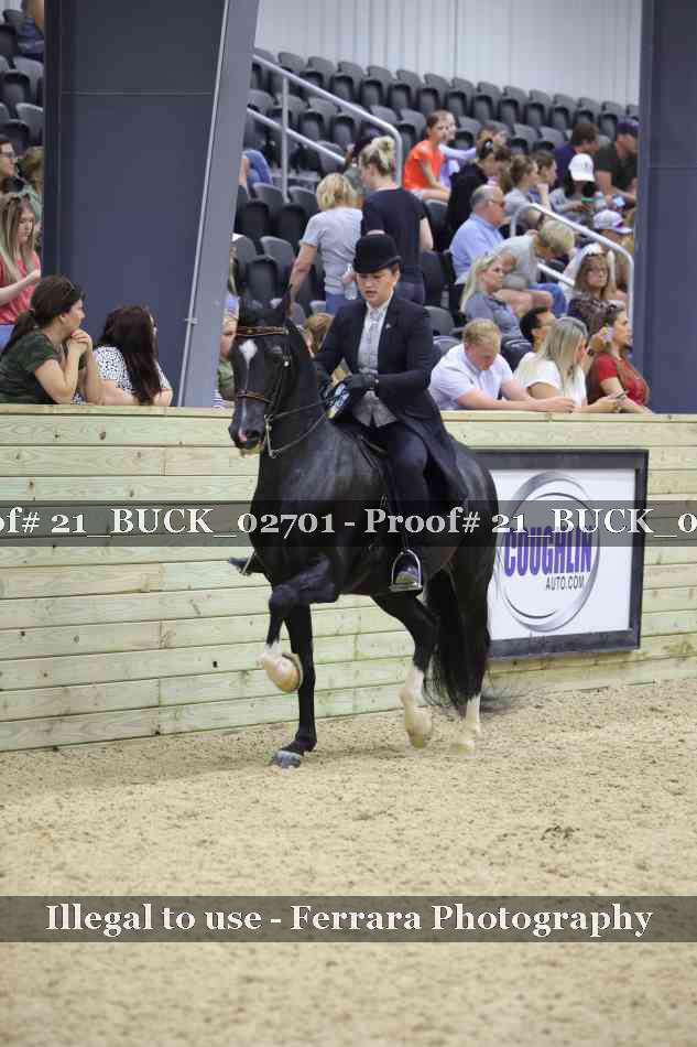 Proof 21_BUCK_02701
