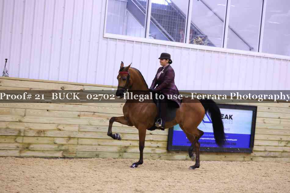 Proof 21_BUCK_02702