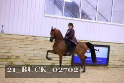 21_BUCK_02702 proof