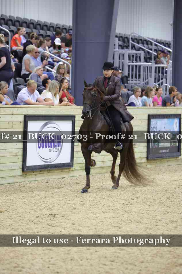 Proof 21_BUCK_02703