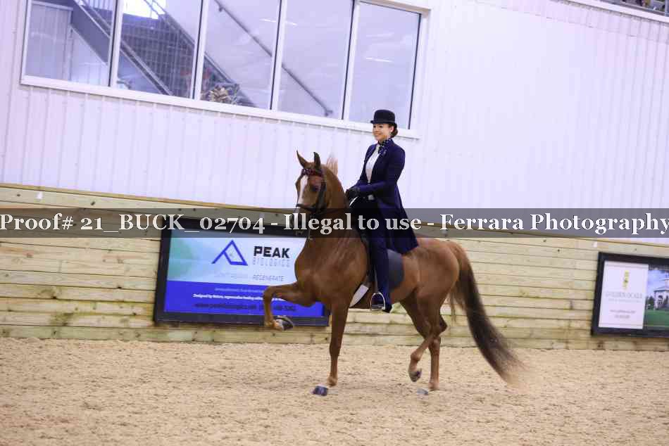 Proof 21_BUCK_02704