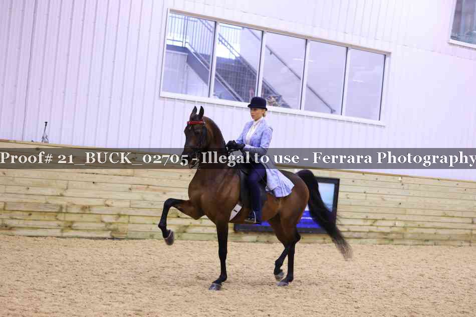 Proof 21_BUCK_02705