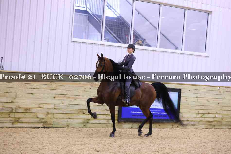 Proof 21_BUCK_02706