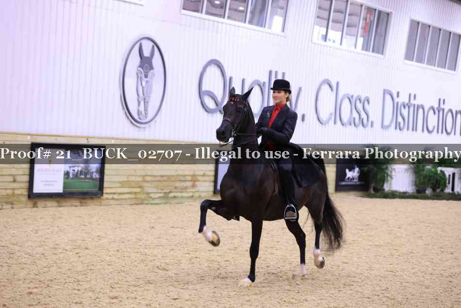 Proof 21_BUCK_02707