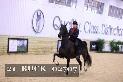 21_BUCK_02707 proof