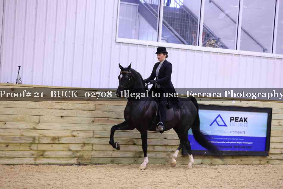 Proof 21_BUCK_02708