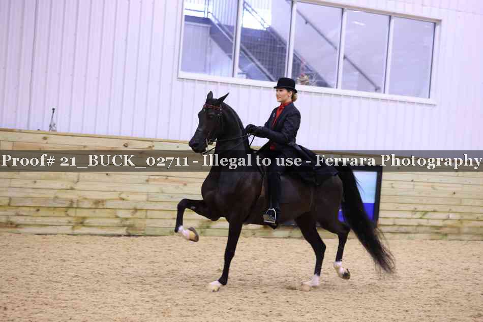 Proof 21_BUCK_02711