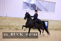 21_BUCK_02711 proof