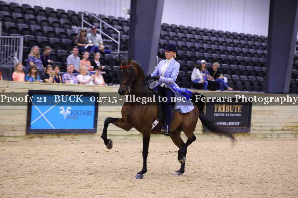 Proof 21_BUCK_02715