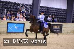 21_BUCK_02715 proof