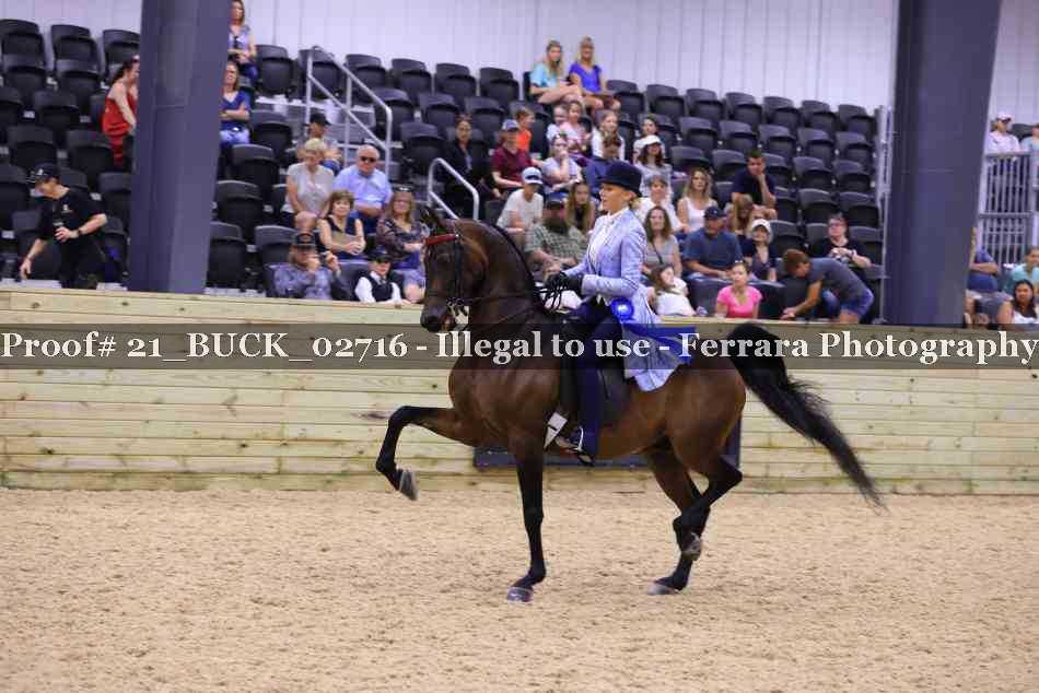Proof 21_BUCK_02716