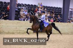 21_BUCK_02716 proof