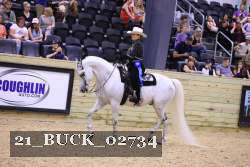 21_BUCK_02734 proof