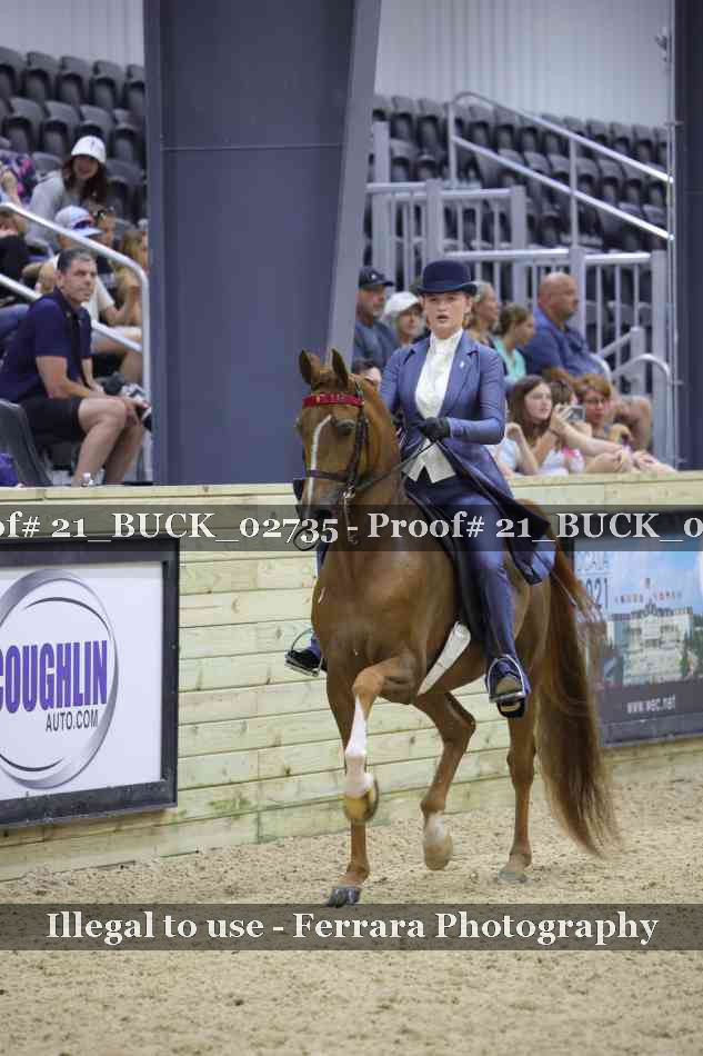 Proof 21_BUCK_02735