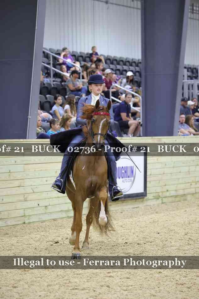 Proof 21_BUCK_02736