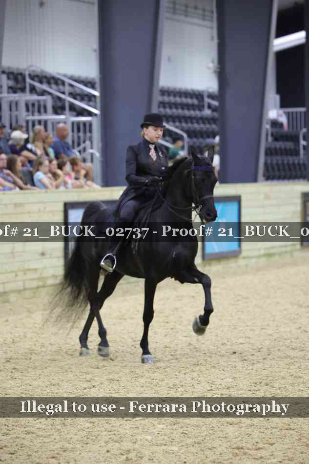 Proof 21_BUCK_02737