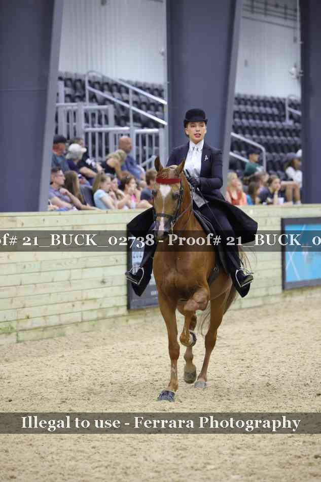 Proof 21_BUCK_02738
