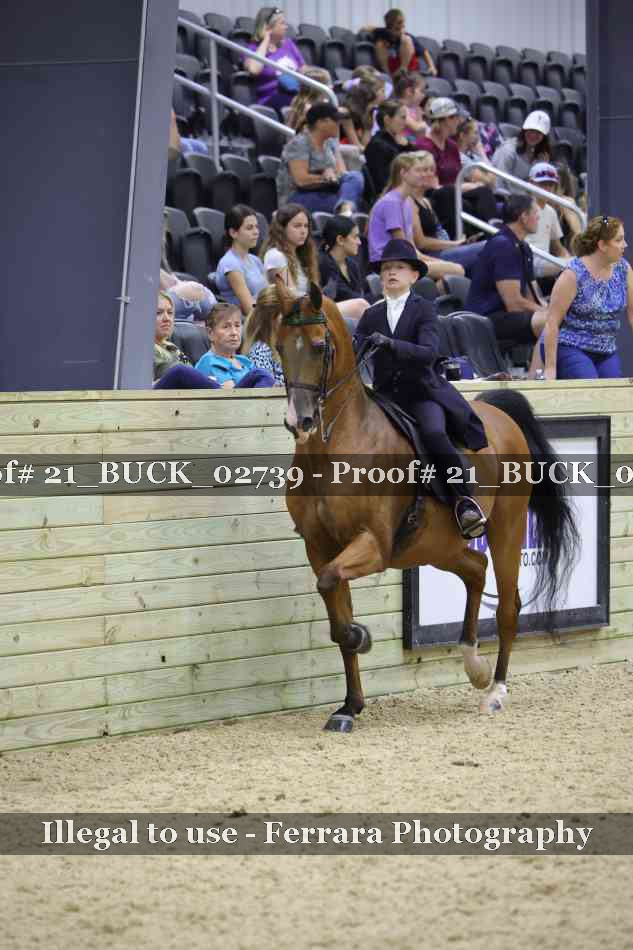 Proof 21_BUCK_02739