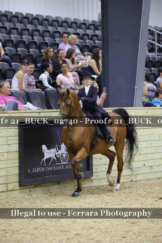 Proof 21_BUCK_02740
