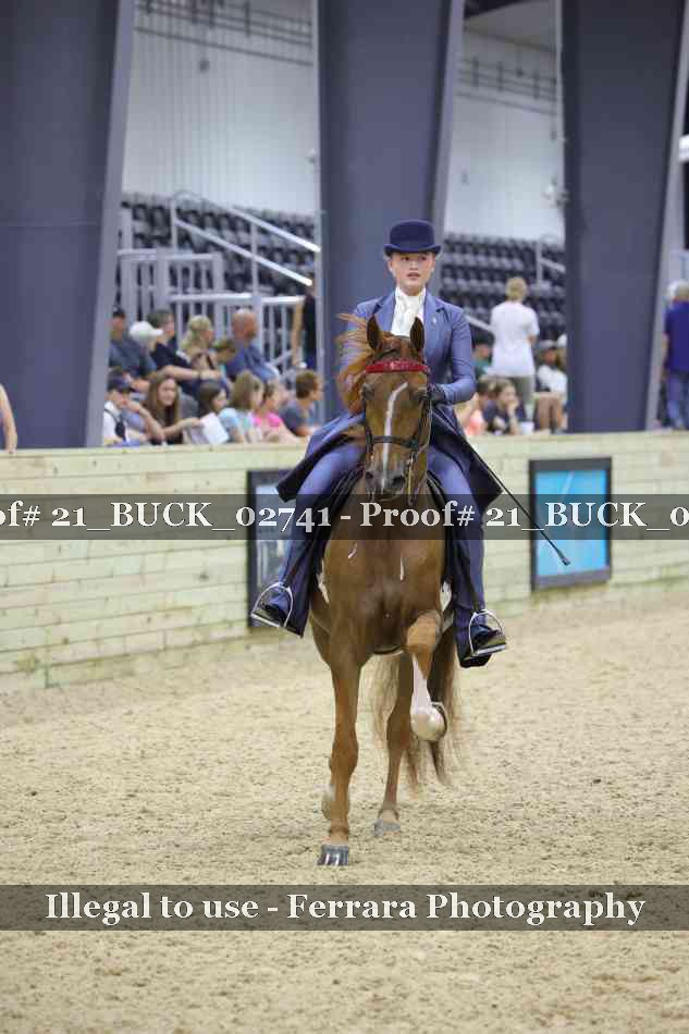 Proof 21_BUCK_02741
