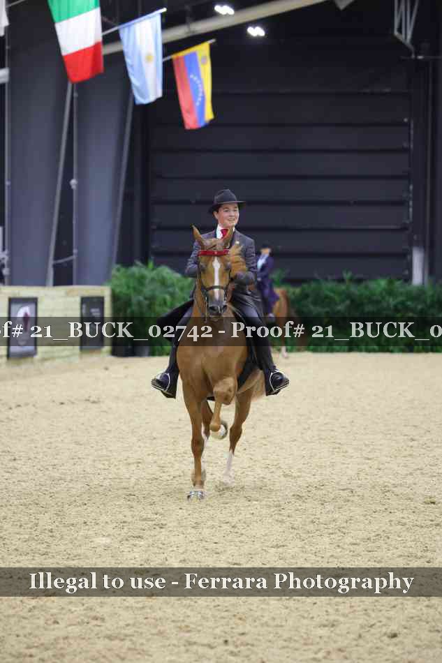 Proof 21_BUCK_02742